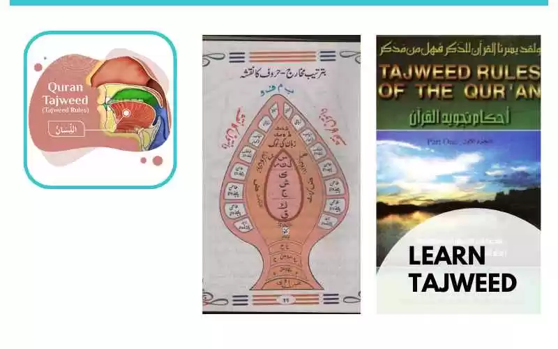 Importance of reading the Quran with Tajweed